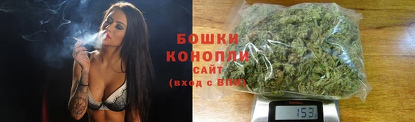 бошки Аркадак