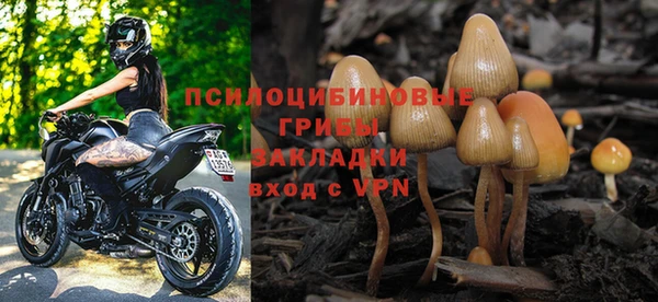 дурь Арсеньев