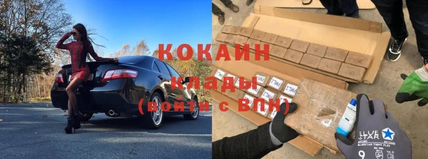 бошки Аркадак